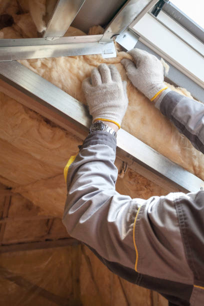 Trusted Louisa, KY Insulation Experts